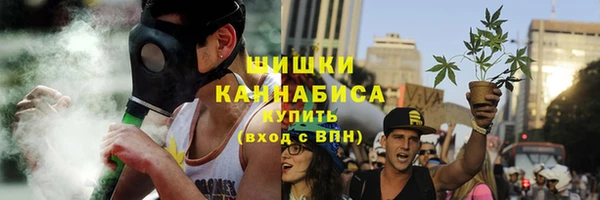 СК Медвежьегорск