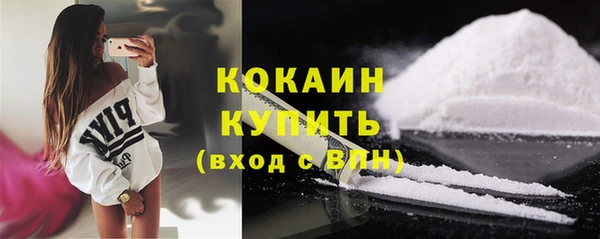 СК Медвежьегорск