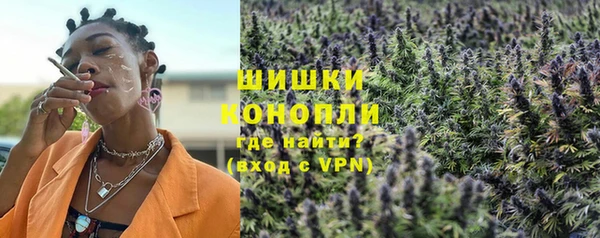СК Медвежьегорск