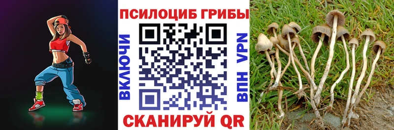 omg вход  Звенигово  Галлюциногенные грибы ЛСД 