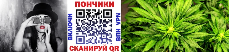 цена   Звенигово  Бошки Шишки сатива 